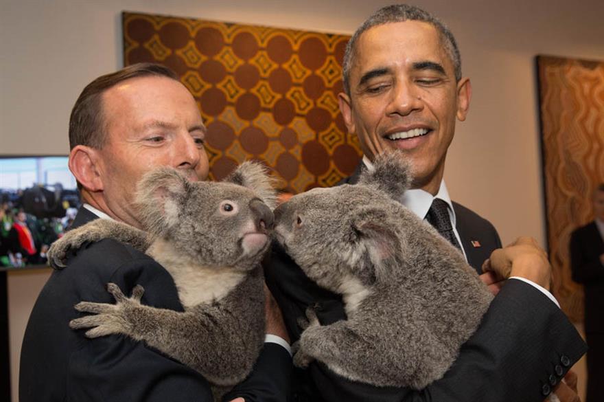 Tony Abbott & Barack Obama meet Koalas at G20 Leaders Summit, Brisbane