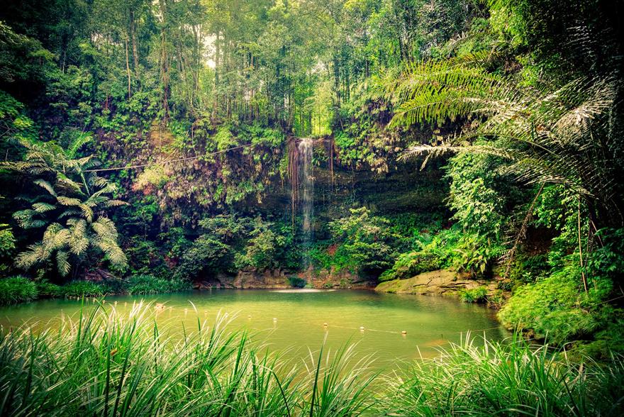 A waterfall in Borneo
