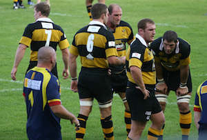 wasps rugby