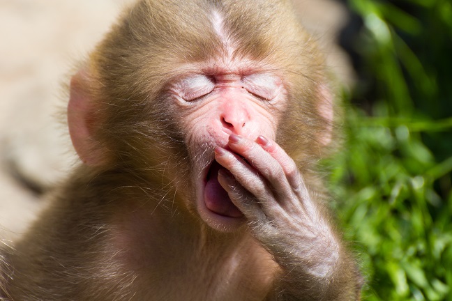 Four Steps To Feeling Less Tired While Running A Business