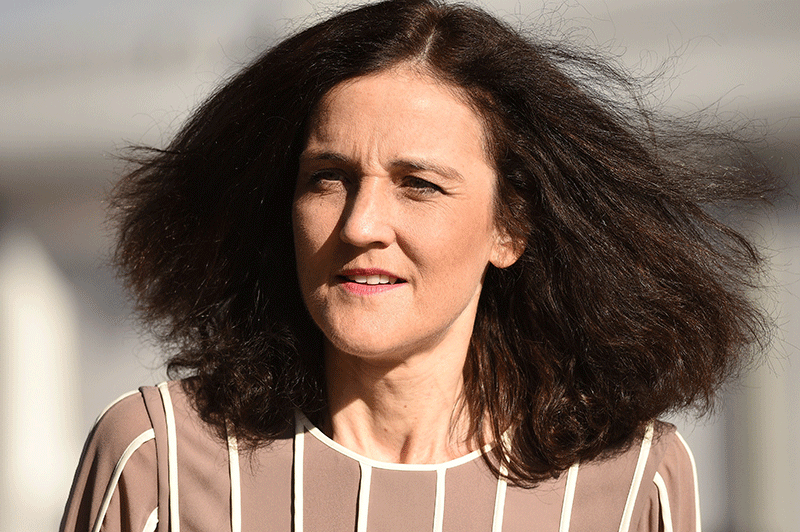 Villiers said the UK's net zero target would be a source of funding for the future for the creation of new parks. Photograph: Oli Scarff/AFP via Getty Images