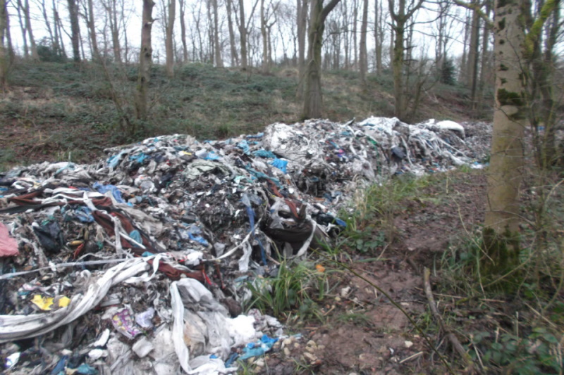 An illegal waste dump in woodland