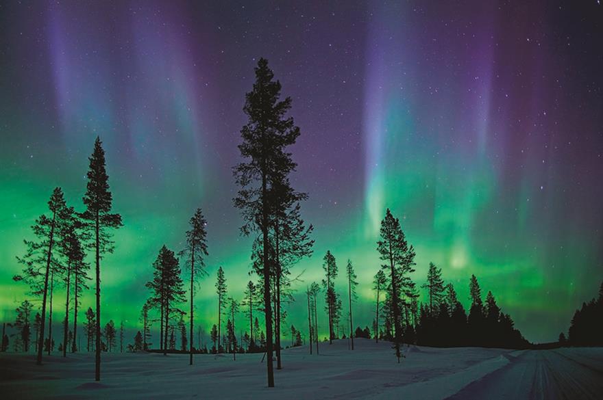 Northern Lights, Northwest Territories, Canada