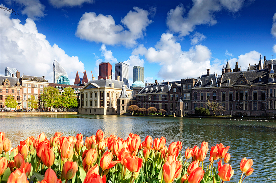 Destination of the Week: The Netherlands