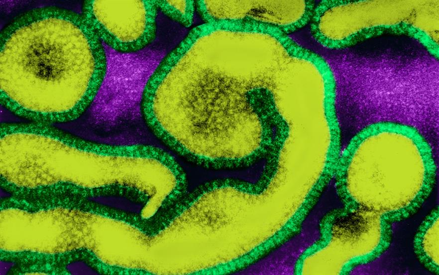 Prescriptions for influenza antivirals should be endorsed with 'SLS' | SPL