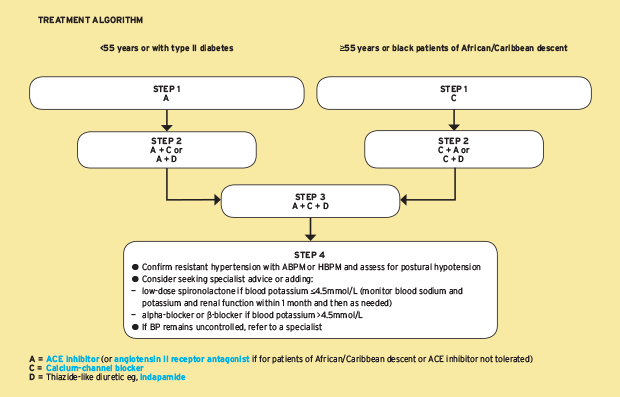 hypertension treatment guidelines pdf