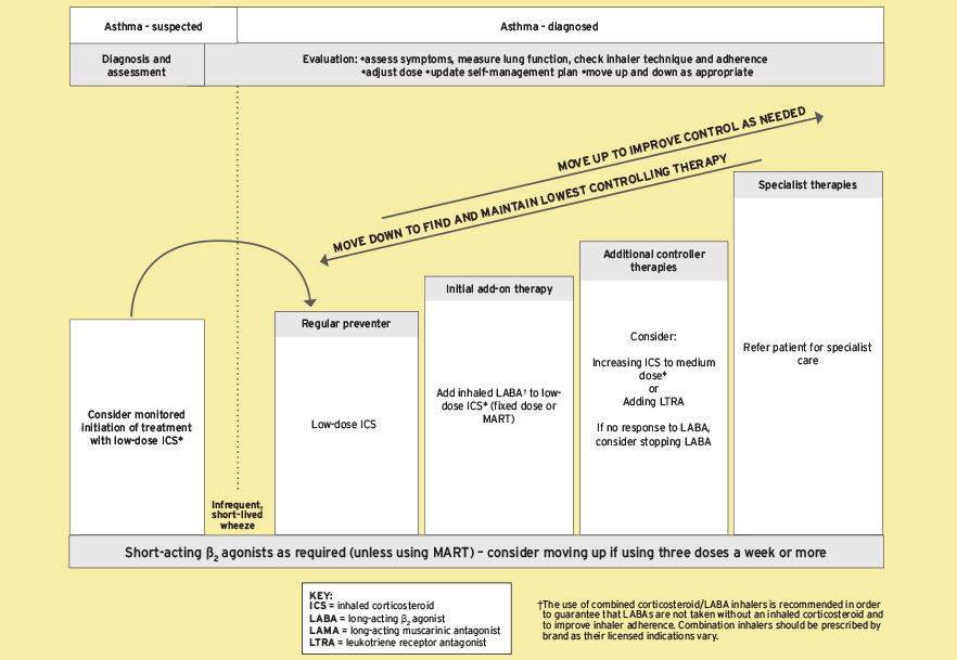 Management Of Asthma In Adults Bts Sign Guideline Mims Online