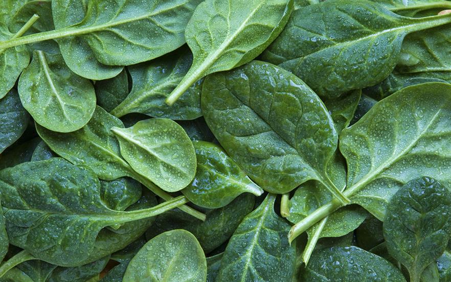 No need to restrict dietary vitamin K intake in patients on warfarin