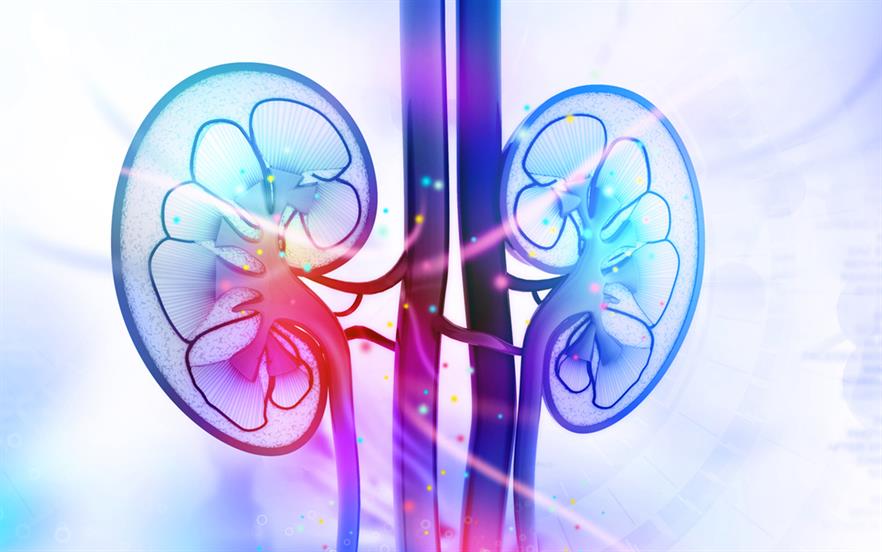 Two-thirds of people aged 70–80 years have approximately half the kidney function of a ‘young adult’. | iSTOCK