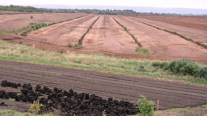 Peat harvesting