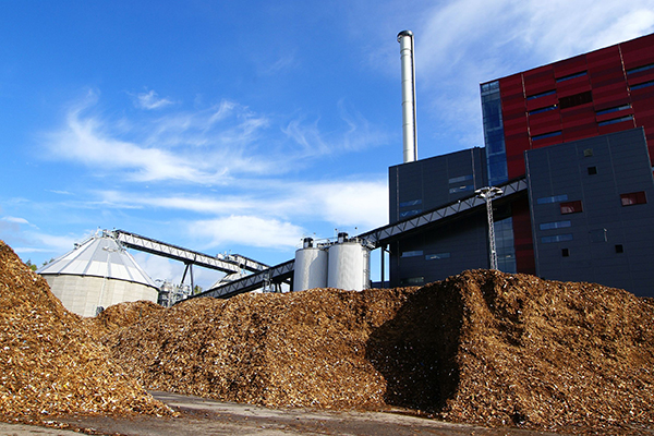 Biomass generation for homes would not fare well under proposals. Photograph: Andrei Merkulov/123RF