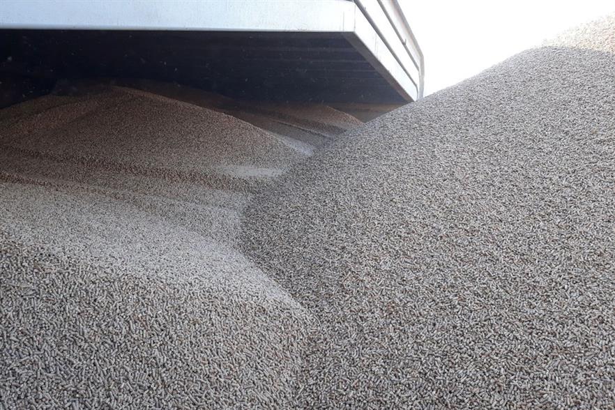 Amercentrale's wood pellet stores. Photograph: Nathalie de Vries