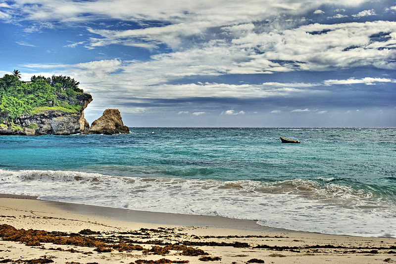 The coast of the island of Barbados