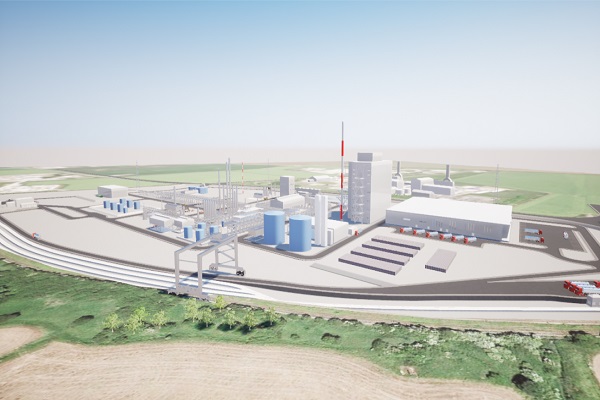 An artist's impression of the plant