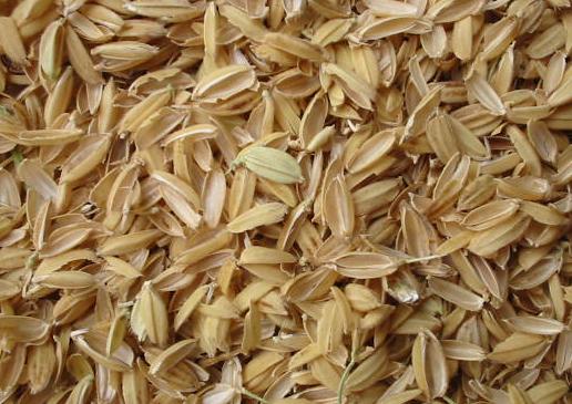 Rice husks
