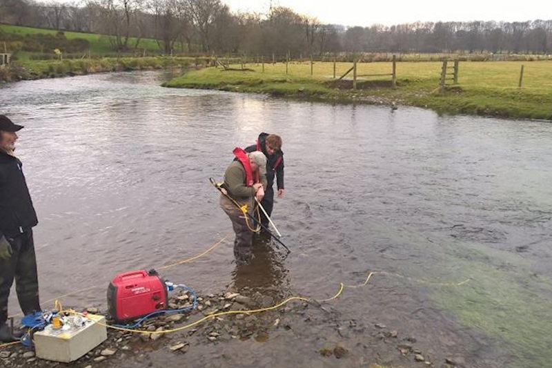 Pollution incident costs biogas firm ENDS Waste & Bioenergy