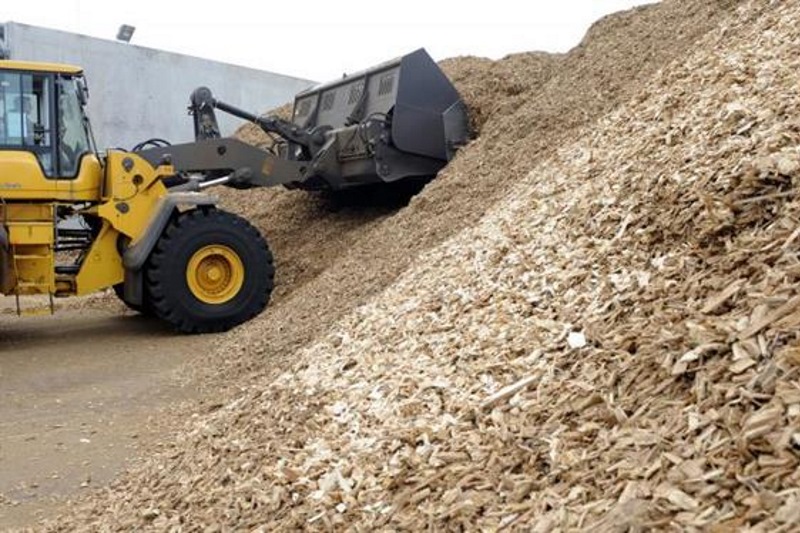 The scheme should boost demand for wood chips. Photograph: Getty Images