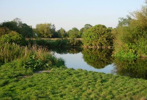 The polluted waterway fed into the River Cam