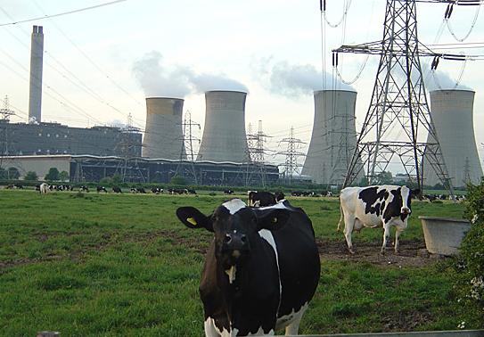 Farm-based AD plants using cow manure are growing in the UK