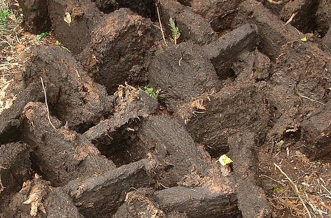 The use of peat is to be reduced at the facility
