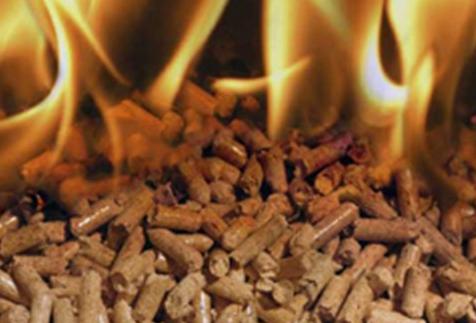 German Wood Pellet Production Record Ends Waste Bioenergy