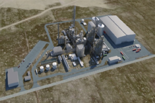An artist's impression of the plant