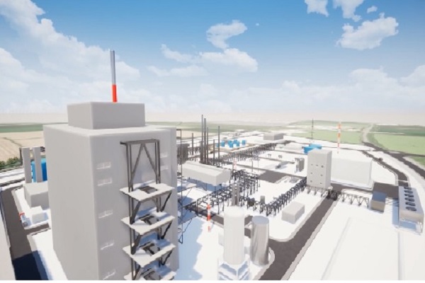 An artist's impression of the plant