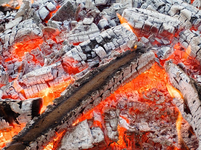Wood is good, say industry groups