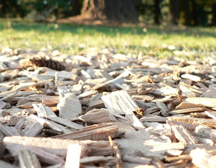 Wood chips will no longer be used by the biomass plant