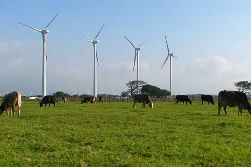 Acciona's 250 MW "Eurus" wind project in the Oaxaca region of Mexico using Acciona's 1.5 MW turbines