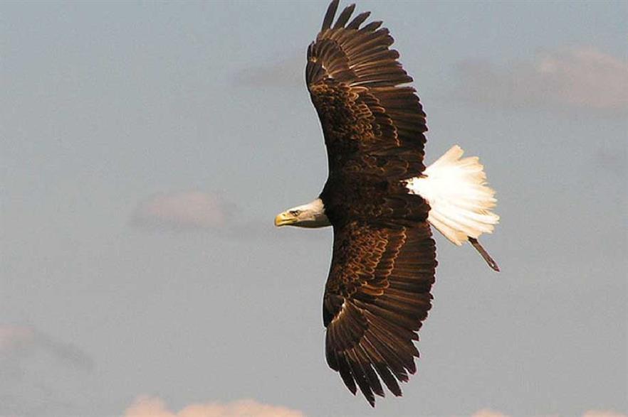 Vandals hit Ontario project after birds nest removal | Windpower Monthly