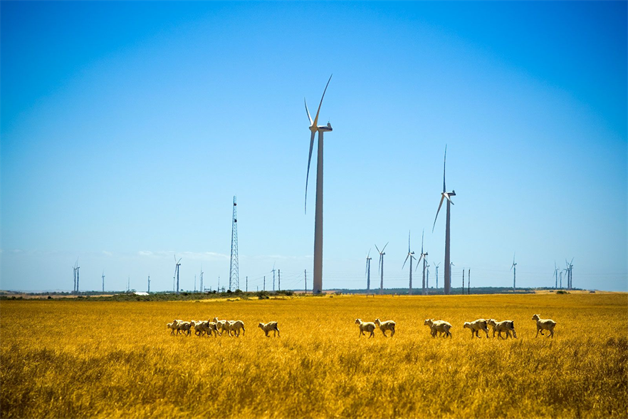 Alinta consists of 54 of Vestas’ V82-1.65MW turbines and has been operating since 2006 (pic credit: Iberdrola)