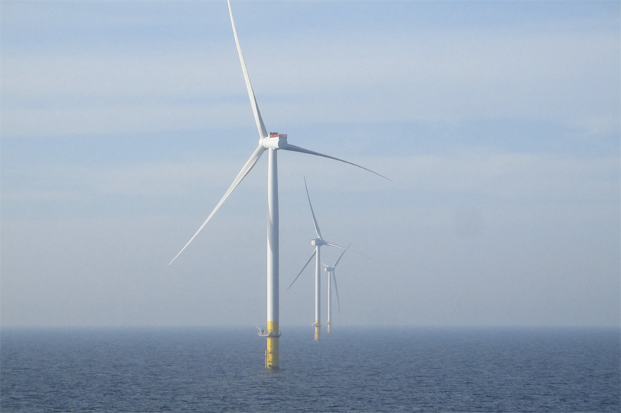 Ørsted's Borssele I & II wind farm consists of 94 of Siemens Gamesa's SG 8.0-167 DD turbines