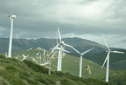 Wind turbines at Tarifa, Spain, kill 146 raptors a year