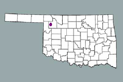 The wind farm will be outside Woodward City in northern Oklahoma