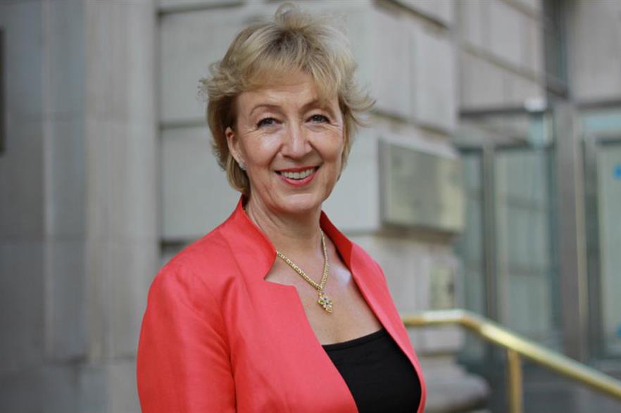 Junior energy minister Andrea Leadsom