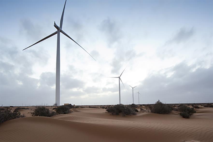 Siemens and Enel have been criticised for developing projects in the disputed Western Sahara territory 