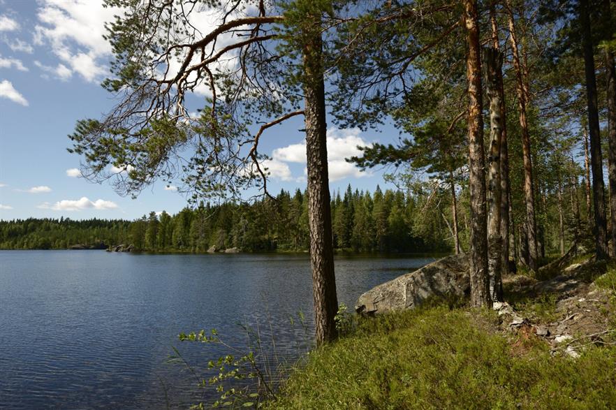 Tonator owns 6,000 square kilometres of forest in Finland