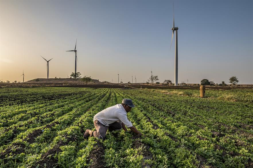 The auction system in India has potential to drive growth, Make believes (pic credit: Chetan Soni)