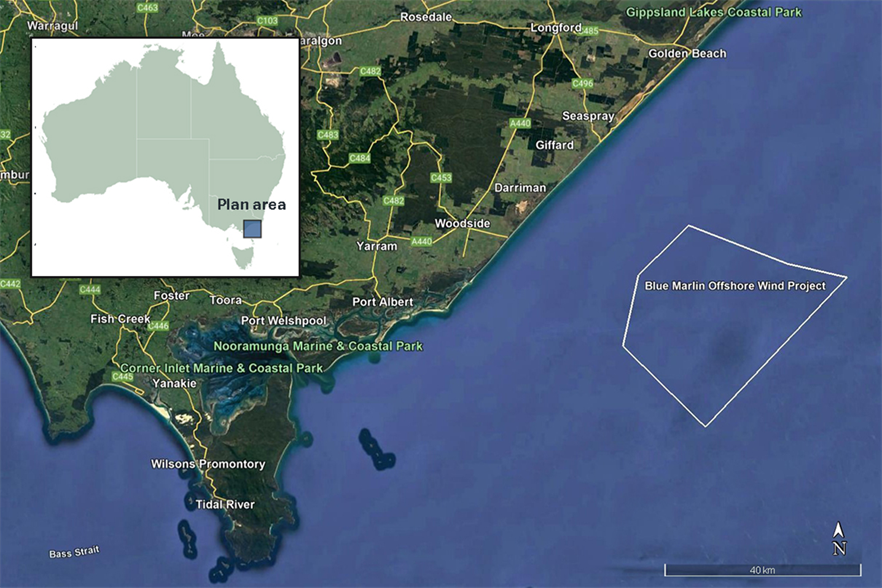 The 2GW Blue Marlin offshore wind project will be located at least 23km off the coast of Victoria in south-east Australia (pic credit: Vena Energy/Google Earth)