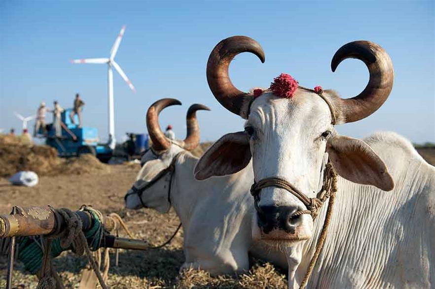 India has over 30GW of installed wind capacity but is aiming to double that by 2022 (pic:Sisse Brimberg & Cotton Coulson/Danish Wind Energy Association)