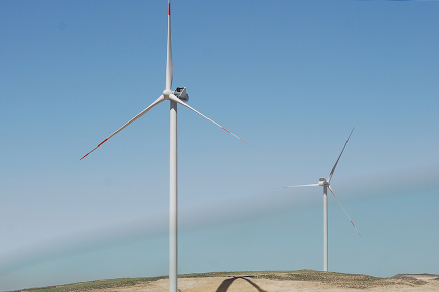 The Mass Wind project will be built in the same region as the 114MW Al Tafila wind farm (pic: Jordan Wind Project Company)