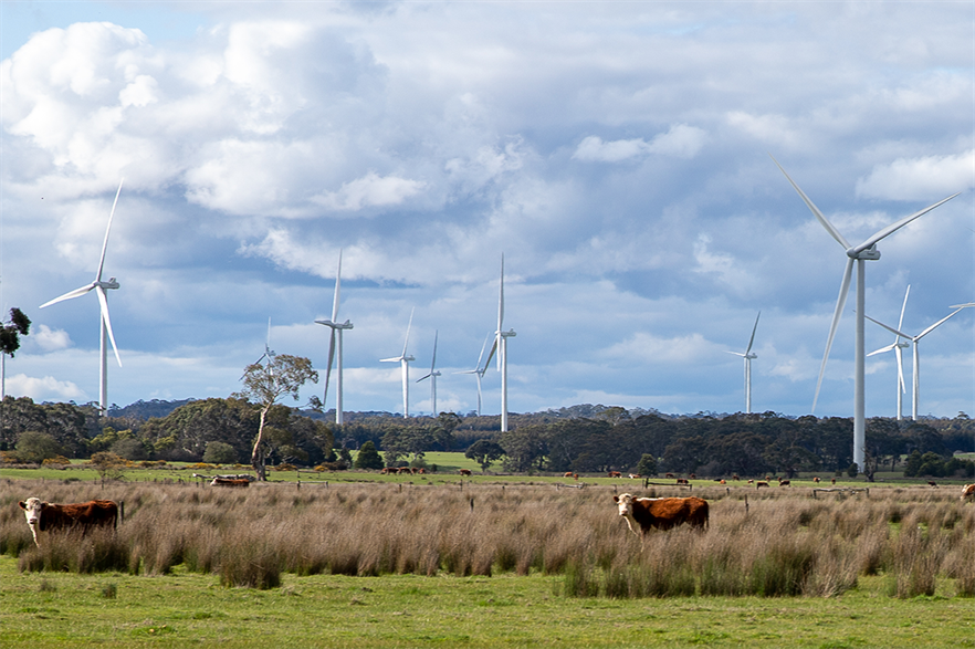 WestWind Energy previously developed the 216MW Lal Wind Farm and sold it to Macquarie Capital (pic credit: Vestas)