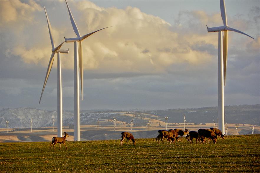 Most of the capacity installed in the next ten years will become before 2020, according to Make (pic: Siemens)