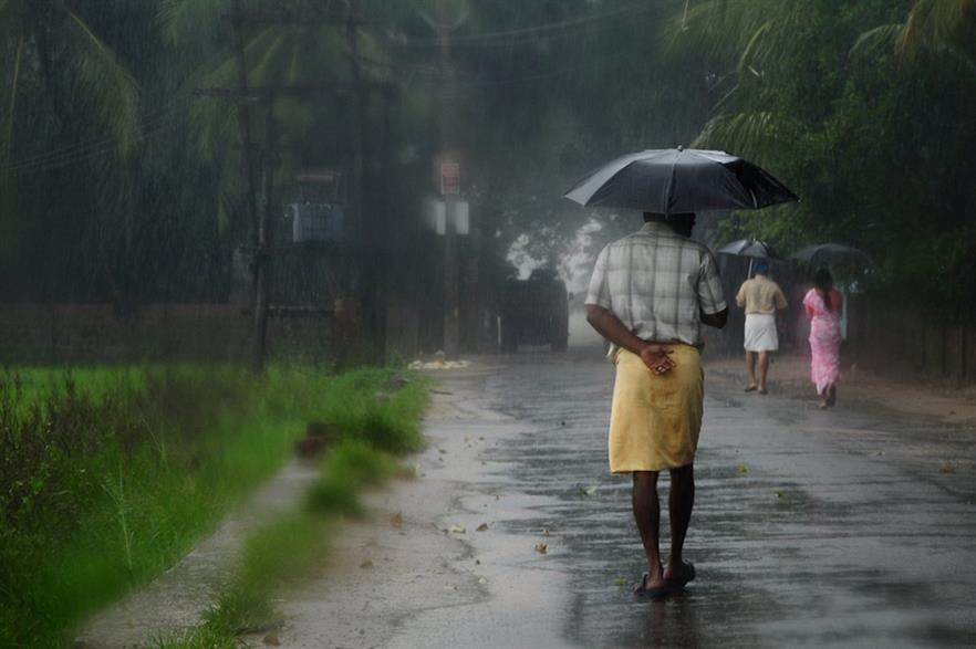 farmers-grow-rice-in-the-rainy-season-by-jakkree-thampitakkul-photo