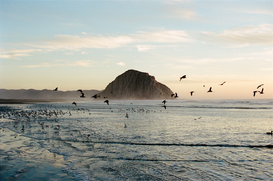 BOEM is offering three sites off Morro Bay (above) and two off Humboldt (pic credit: Shaw Photography Co/Getty Images)