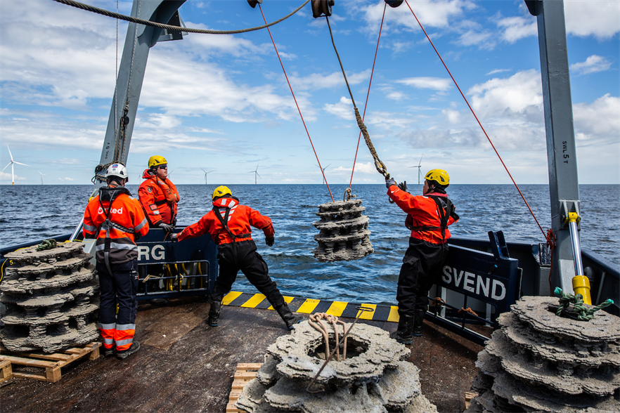 Ørsted installed 12 artificial reef structures on the seabed at its Anholt wind farm in the Danish Kattegat