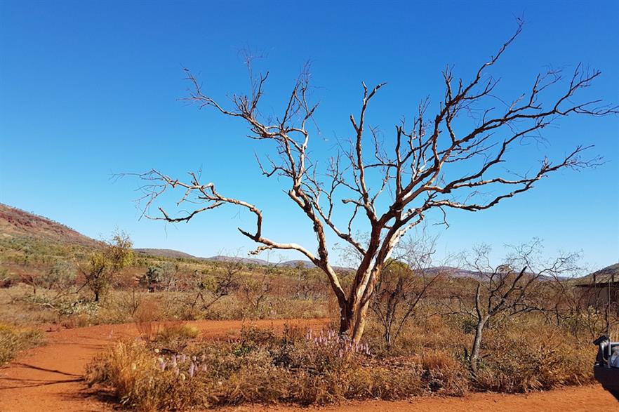 The Asian Renewable Energy Hub would be built in the desert region of Pilbara, Western Australia (pic: Renata Wright/Pixabay)