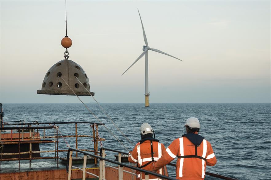 An oyster cage ready to be lowered into the water near one of Luchterduinen's 43 turbines (pic credit: Van Oord)