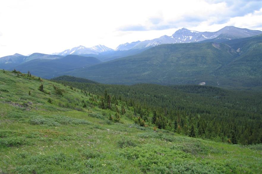 The project is to be built near Tumbler Ridge in British Columbia